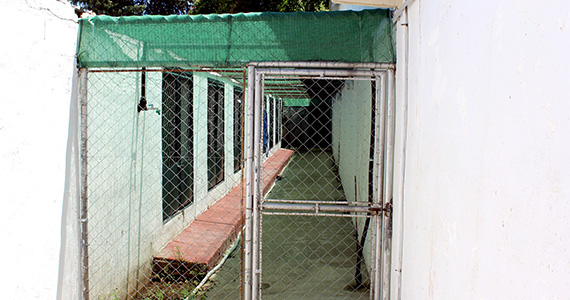 Cattery Refurbishment