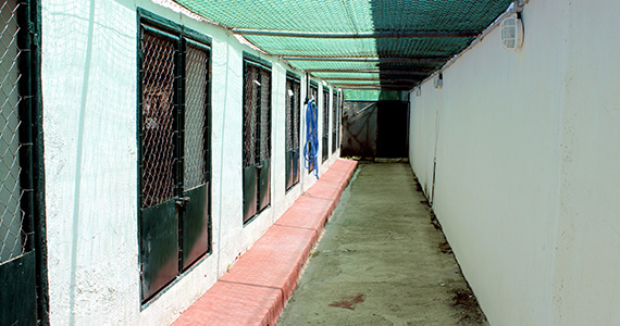 Cattery Refurbishment