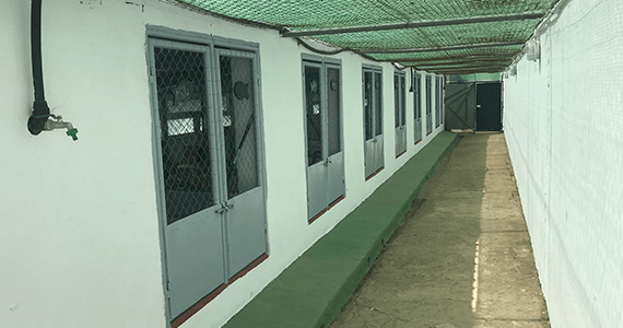Cattery Refurbishment