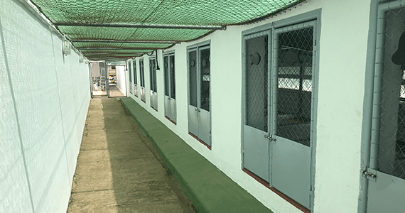 Cattery Refurbishment