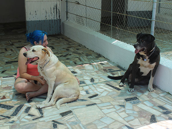 dog