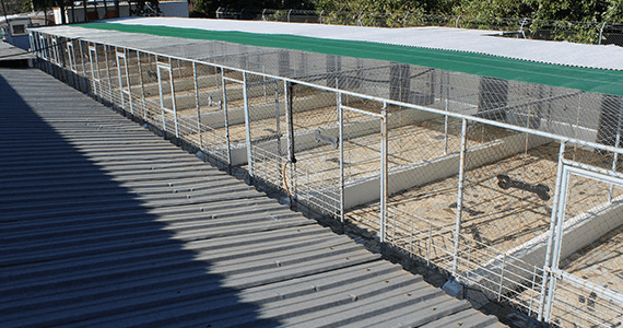 Kennel Refurbishment