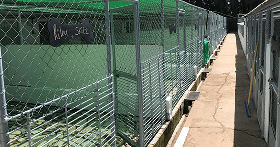 Kennel Refurbishment