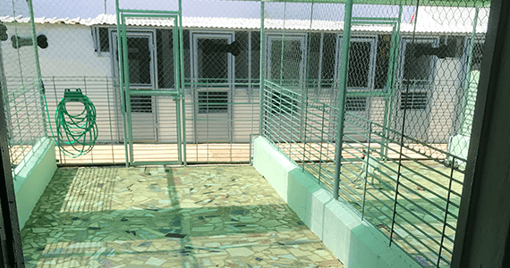 Kennel Refurbishment