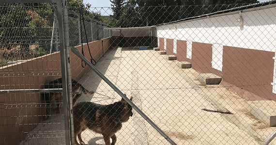 Kennel Refurbishment