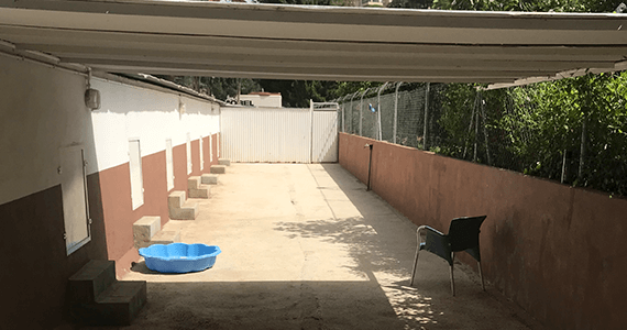 Kennel Refurbishment